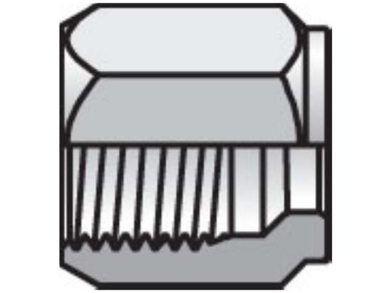 Picture of Parker 3 BU-SS BP - Ferulok Nut, Ferrule, Locknut BU