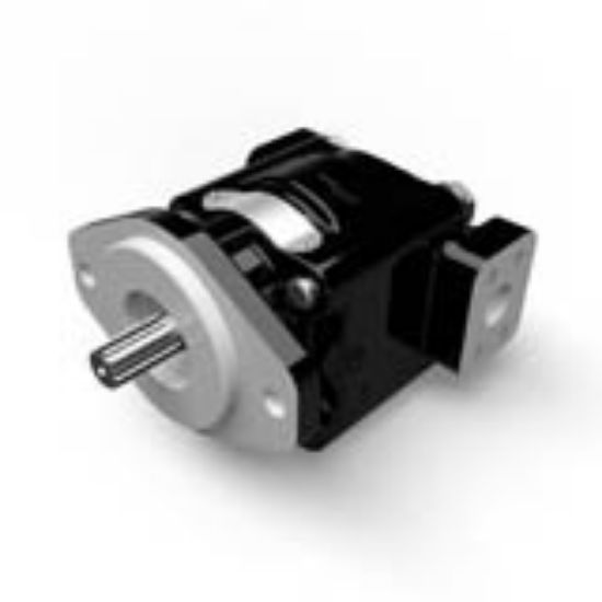 Picture of Parker PGP330 - Cast Iron Pumps – PGP330 Series