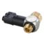 Picture of Parker PSBJ731-6G - Threshold Sensor Fittings - Metric