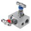 Picture of Parker HAL6MO2V - 2, 3 and 5 Valve instrument manifolds, needle pattern, remote mount - H Series