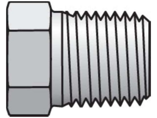Picture of Parker 1/8 HP-SS BP - Pipe & Port Plug and Cap HP
