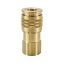 Picture of Parker HA-251-4FP - Push to Connect, Air Hose and Tool Quick Couplings (pneumatic, air) ARO 210 Interchange - HA Series Couplers